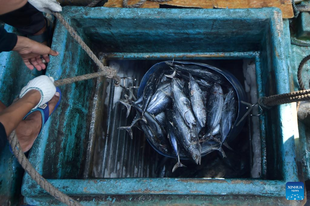 Indonesia to see fish supply drops in rising fuel prices-Xinhua