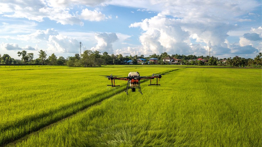 Chinese drones make Thai farmers' work easier, safer