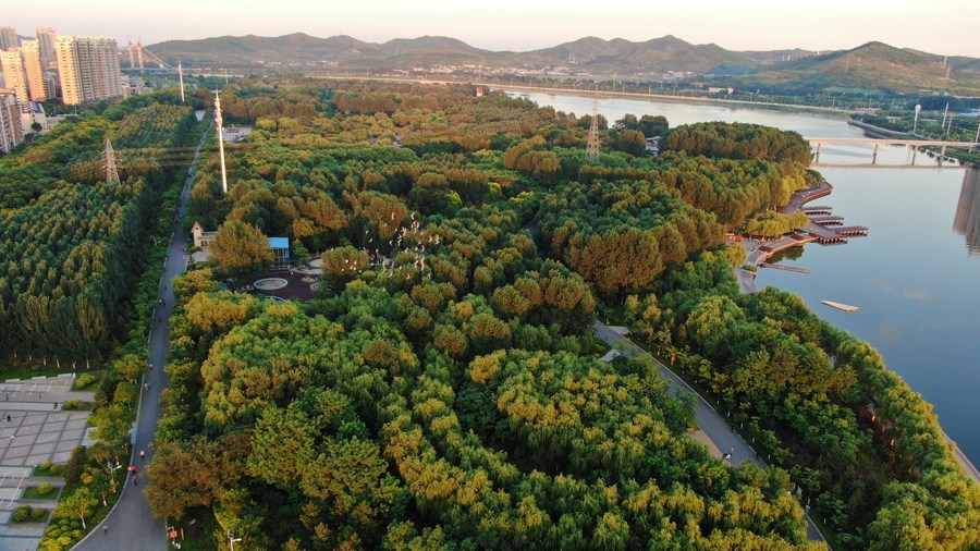 China a greener country after decade-long ecological efforts-Xinhua