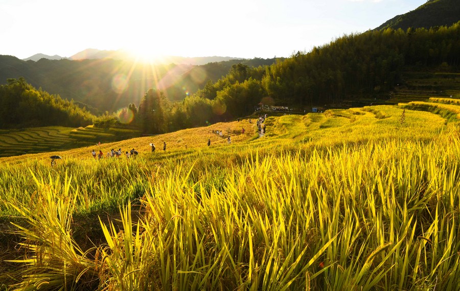 InPics: Autumn Scenery Across China-Xinhua