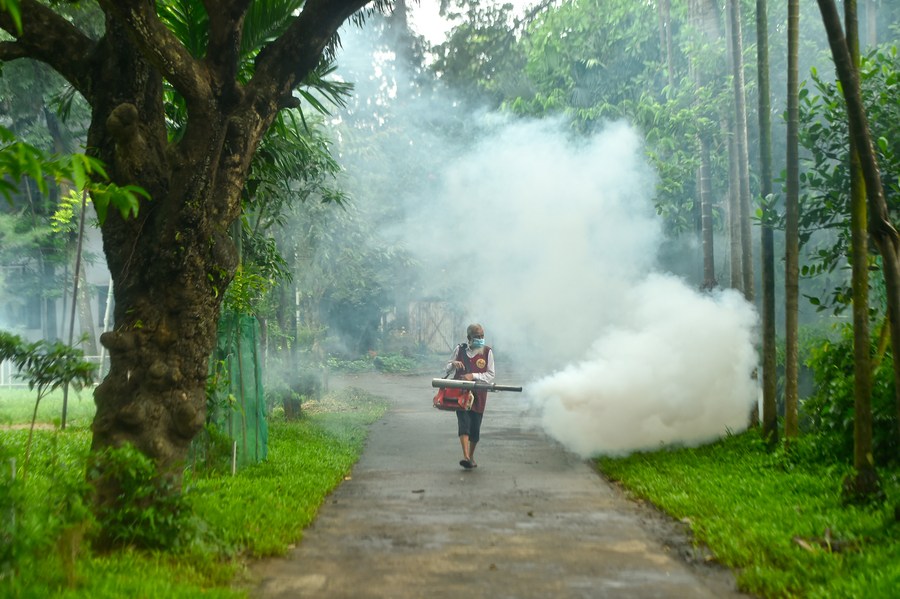 Bangladesh sees highest daily spike of 8 dengue deathsXinhua