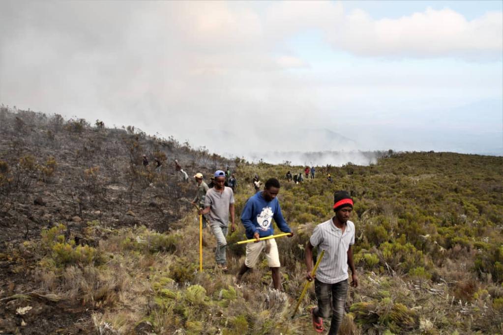 Fire breaks out on Tanzania's Mount KilimanjaroXinhua