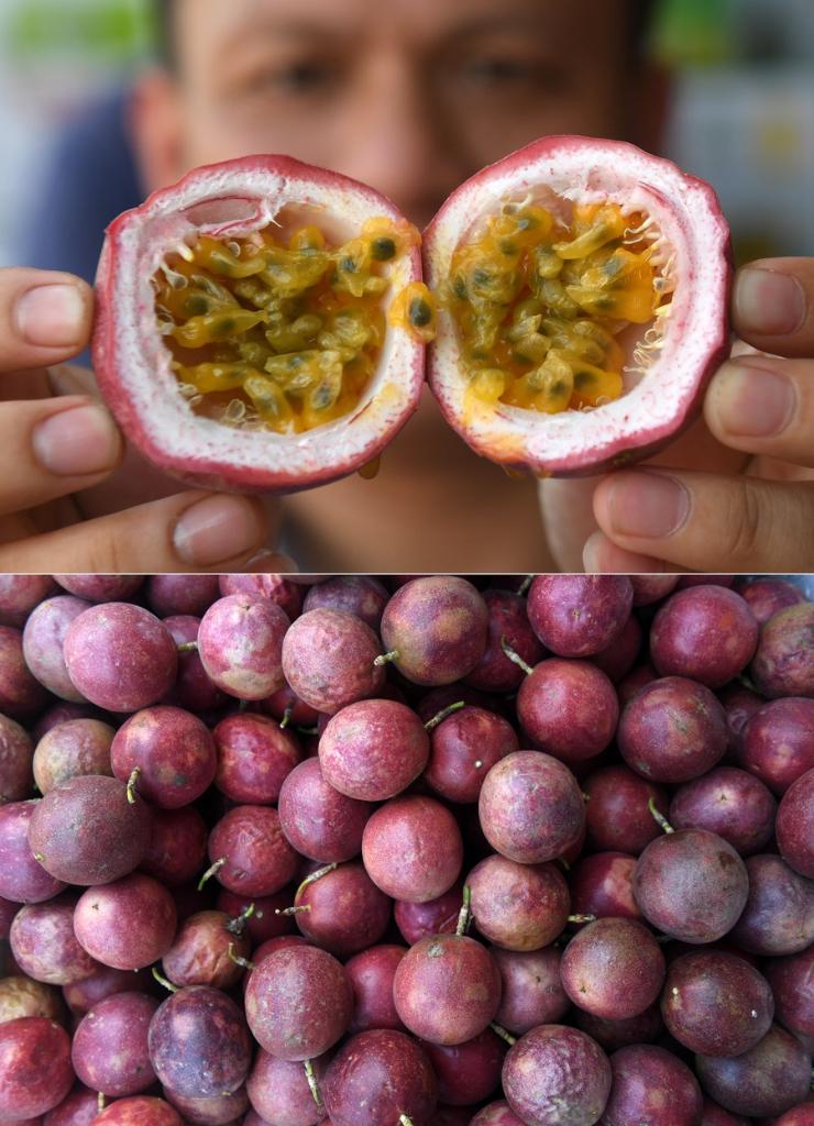 Wrinkled Passion Fruits Inspire Scientists To Develop Robotic Gripper Xinhua 6326