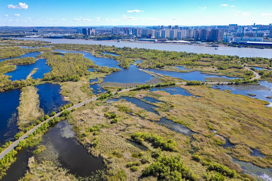 New constructed wetlands can control gaseous emissions: study - Xinhua