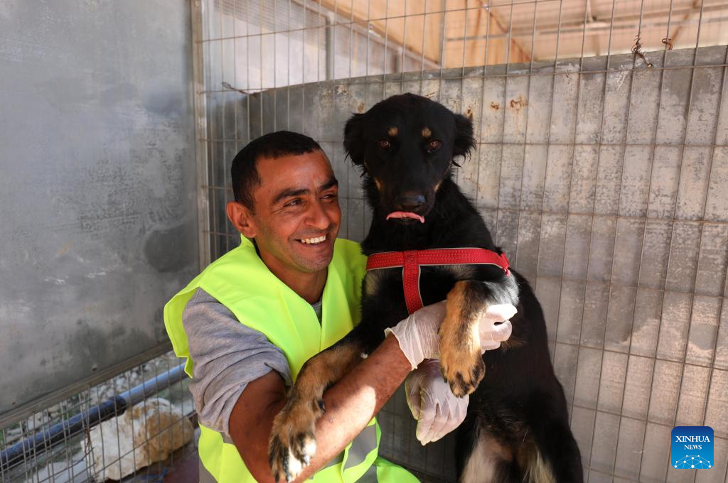 Feature: Palestinian city establishes public vet clinic to treat stray  animals-Xinhua