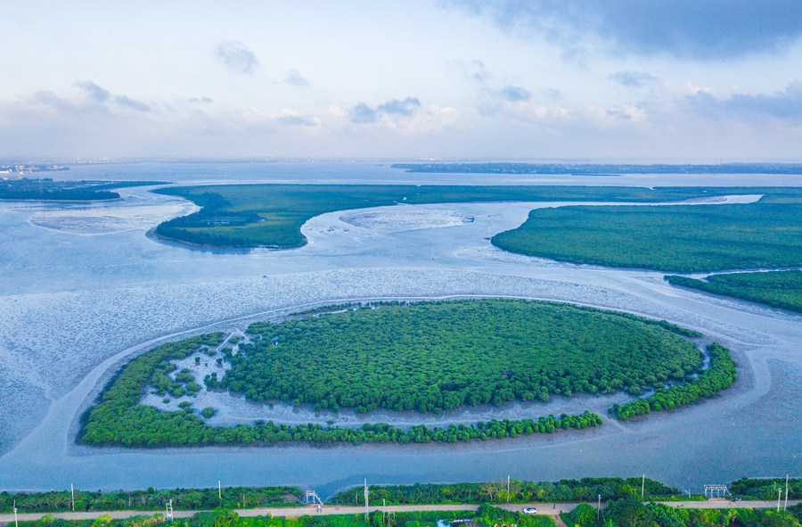 Interview: World must secure a "Paris"-style agreement for nature at ...