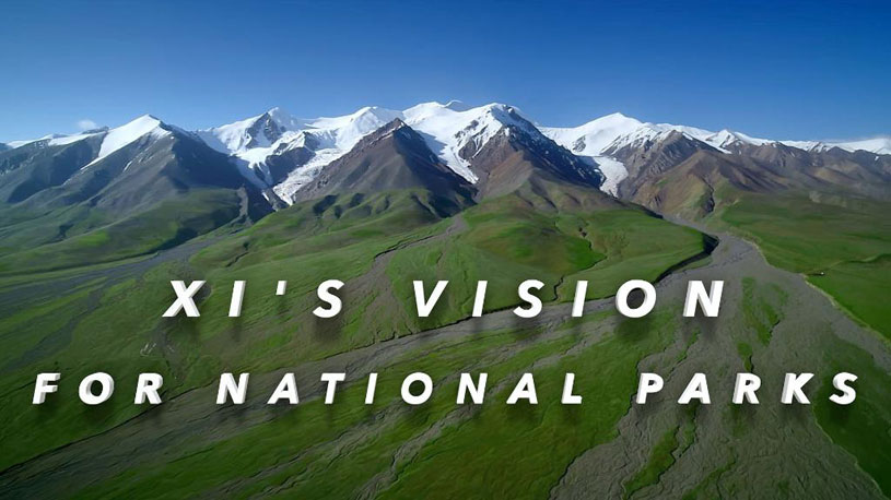 GLOBALink | Xi's vision for national parks