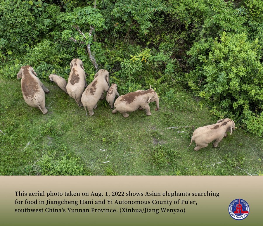 Fly over wildlife in ChinaXinhua