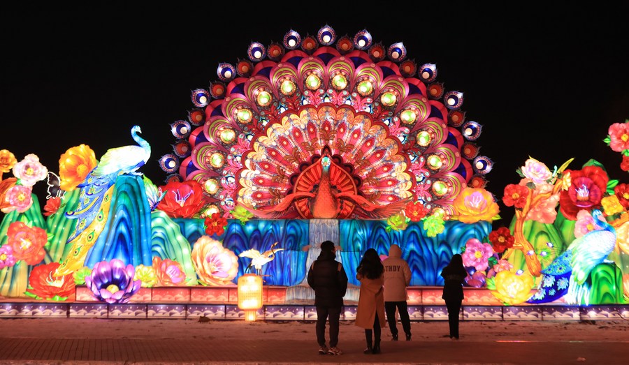 Cultural tours light up nightlife-Xinhua