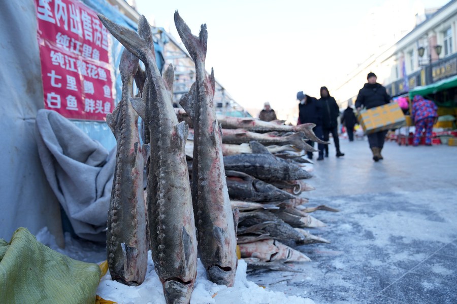 InPics: Dongji fish market enters peak season in NE China as the Spring ...