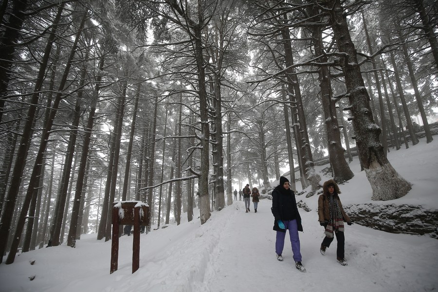 Mideast in Pictures: Playing in snow in N. Algeria-Xinhua