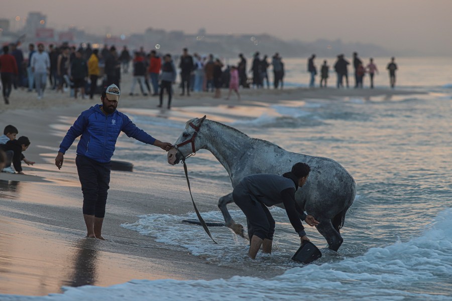 Feature: Young woman in Gaza uses sand sculpture to highlight Palestinian  cause - Xinhua