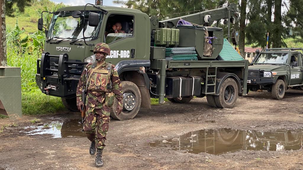 East African leaders call for immediate ceasefire in eastern DRC-Xinhua