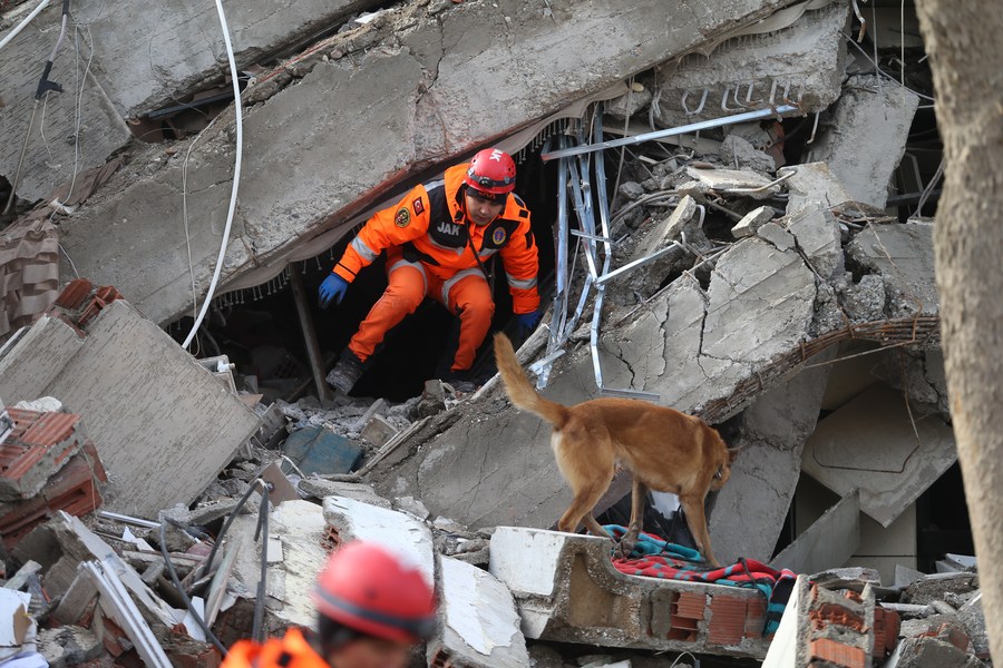 Nameless heroes" sniffer dogs help search for survivors in earthquake-hit  Türkiye-Xinhua
