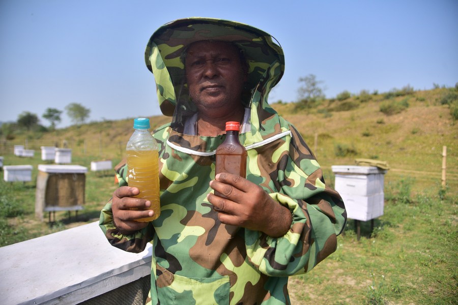 Asia Album Taste the sweetness of honey with Indian beekeepersXinhua