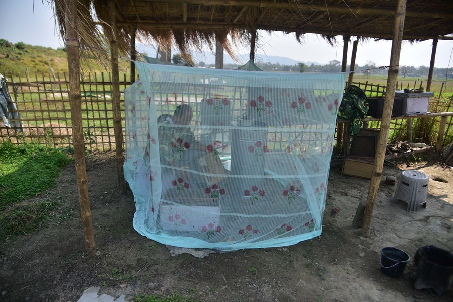 Asia Album Taste the sweetness of honey with Indian beekeepersXinhua