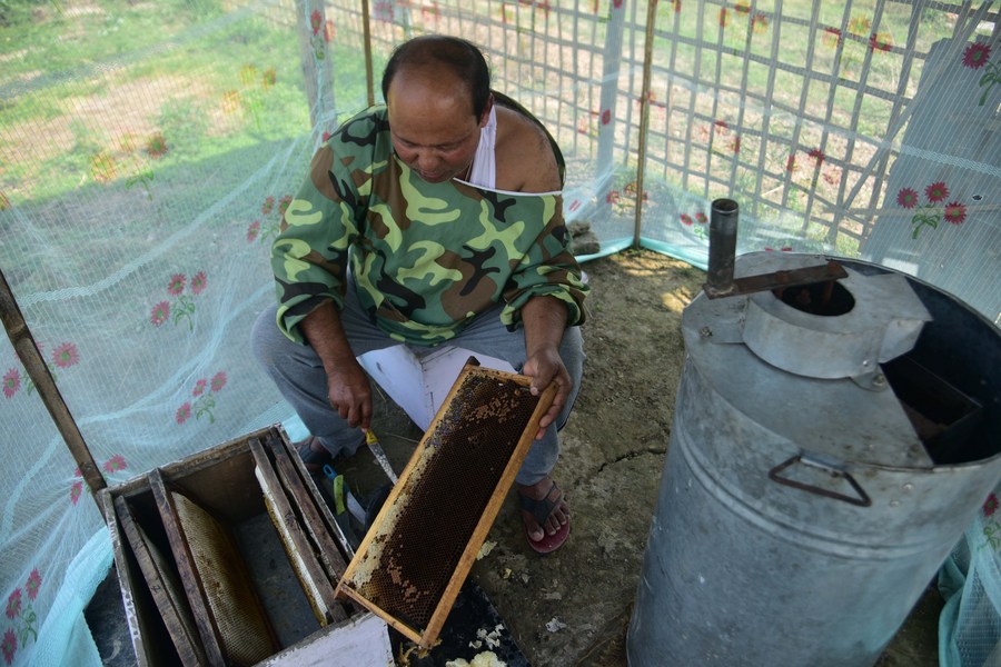 Asia Album Taste the sweetness of honey with Indian beekeepersXinhua