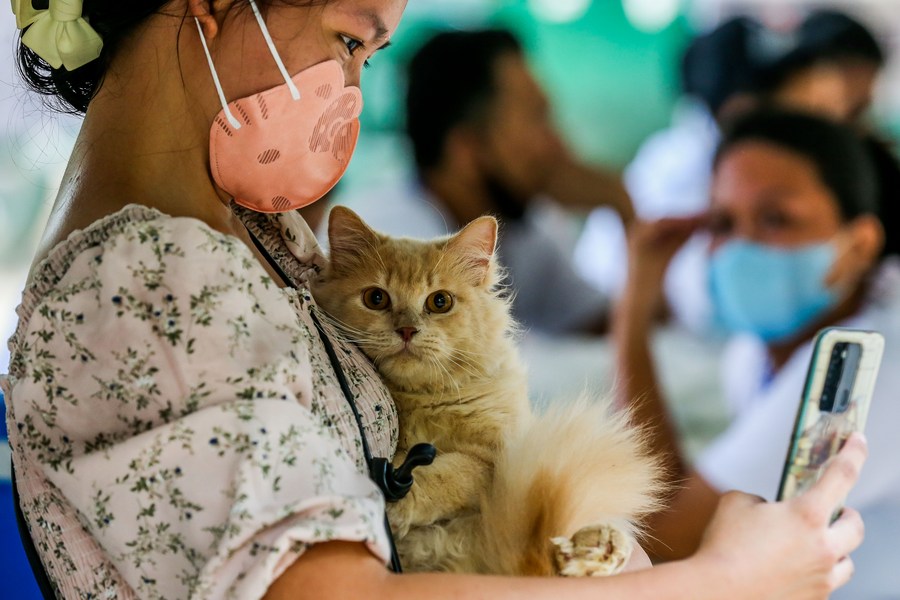 Asia Album Furry friends protected with free rabies shots in the PhilippinesXinhua