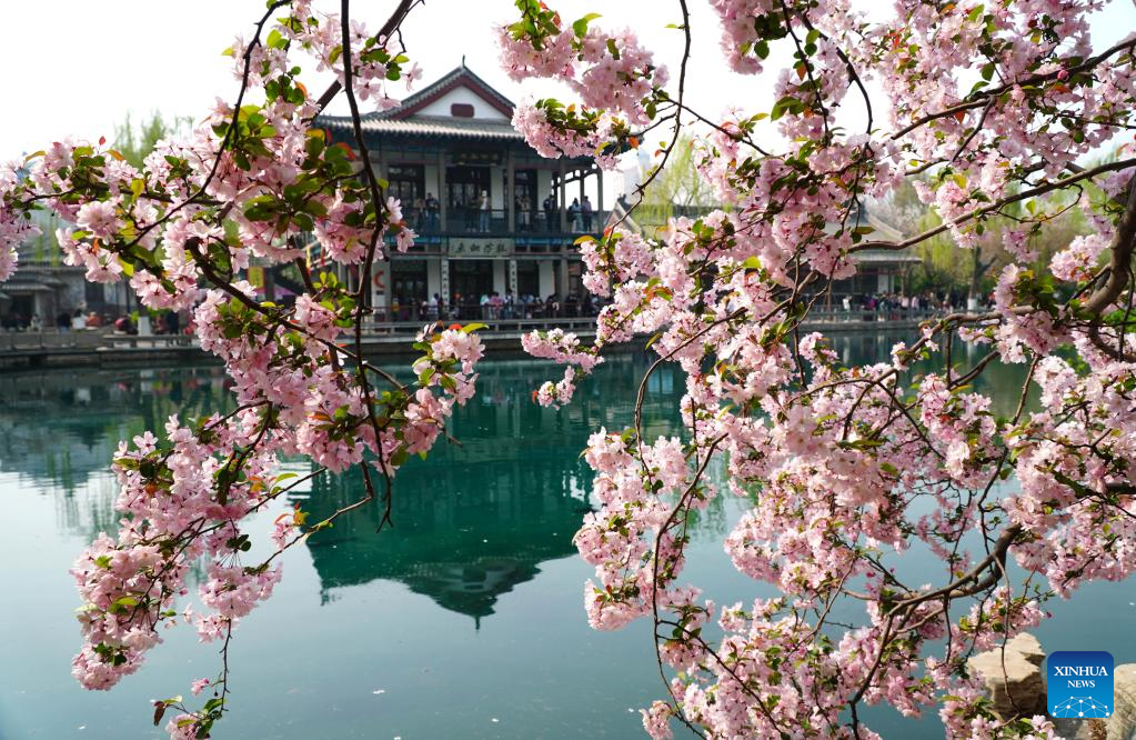 Flowers bloom across China in springXinhua