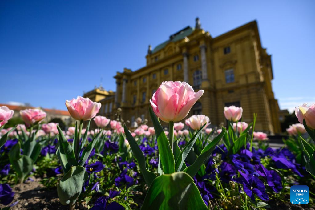 View of spring flowers in Croatia-Xinhua