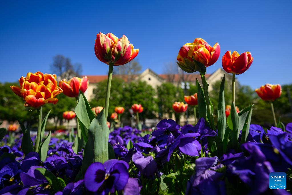View of spring flowers in Croatia-Xinhua