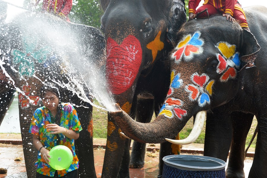 Young Chinese enjoy Thailand's first water festival in 4 years-Xinhua