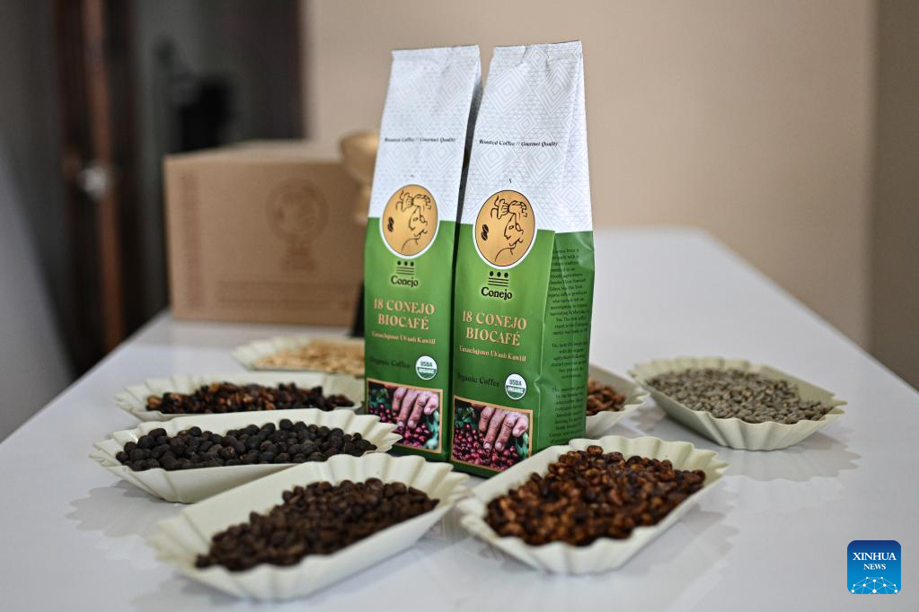 In pics coffee industry of HondurasXinhua