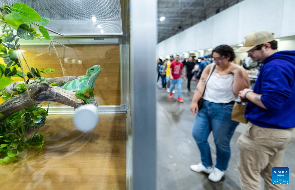 In pics 2023 Toronto Reptile and Plant ExpoXinhua