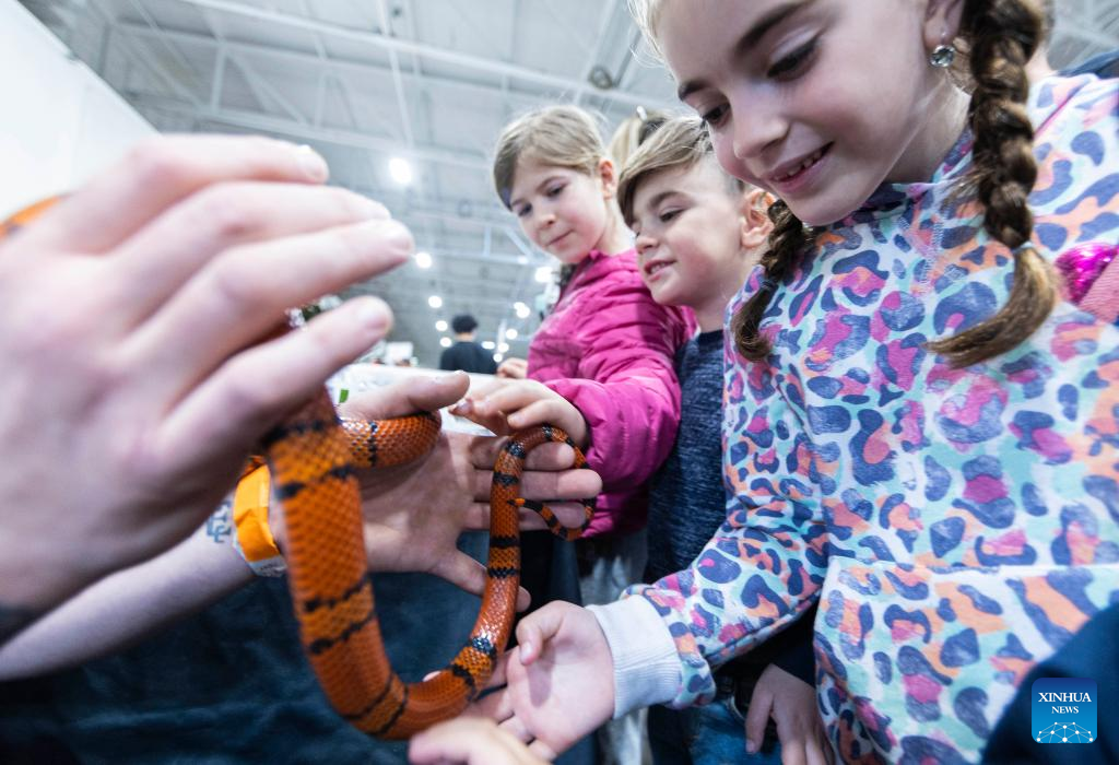 In pics 2023 Toronto Reptile and Plant ExpoXinhua