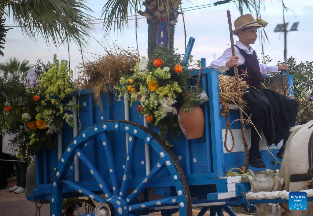 Flower festival parade held in Larnaca, CyprusXinhua