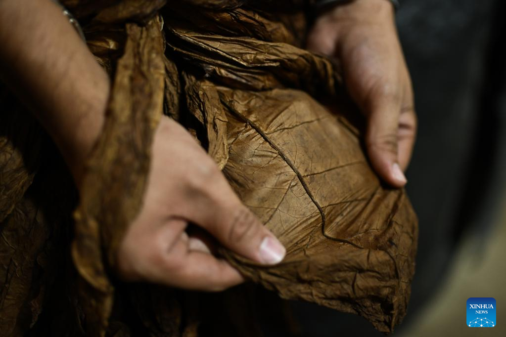tobacco leaf pattern china TOBACCO LEAF