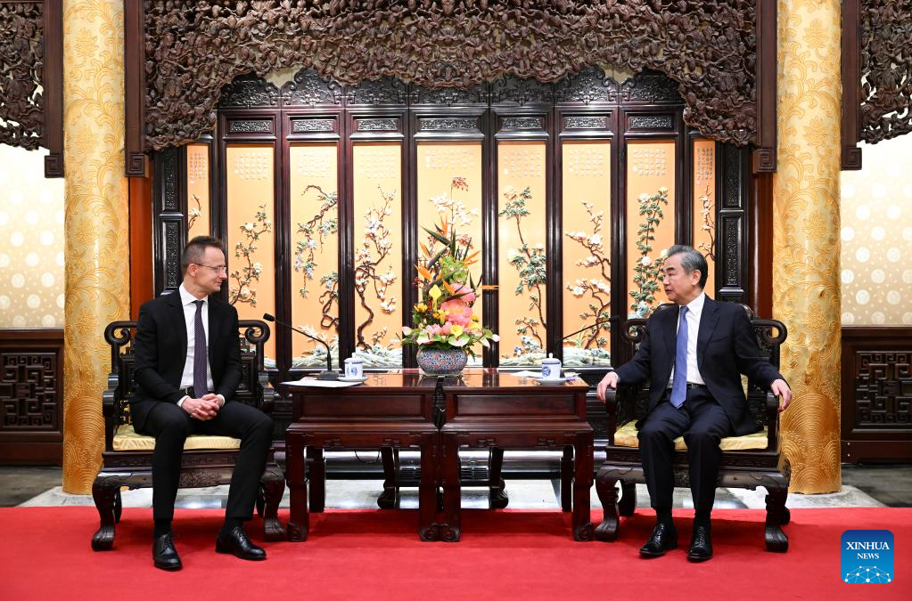 Senior Chinese diplomat meets with Hungarian FM-Xinhua