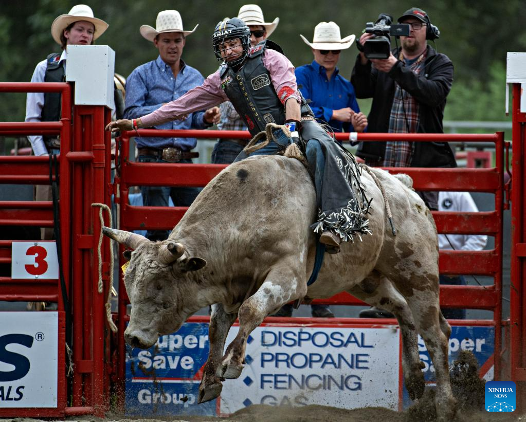 In pics: 75th Cloverdale Rodeo and Country Fair event-Xinhua