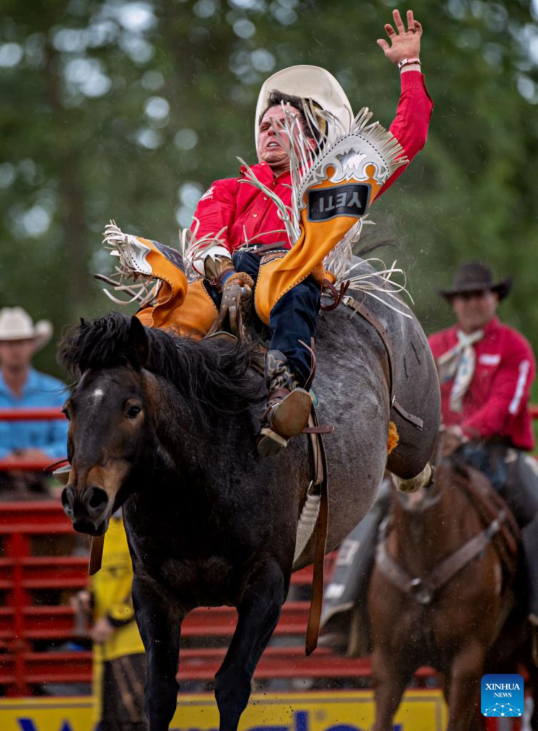 In pics: 75th Cloverdale Rodeo and Country Fair event-Xinhua