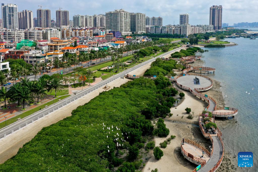 Aerial View Of Zhanjiang City In China s Guangdong Xinhua