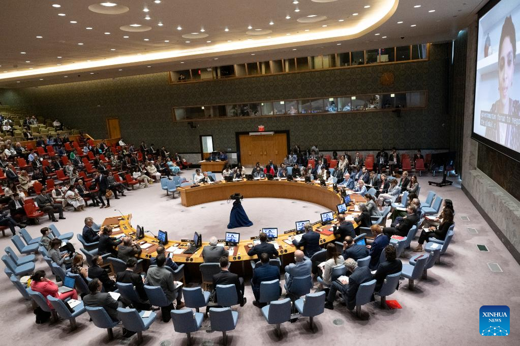 In addressing climate shocks, Security Council urges action-Xinhua