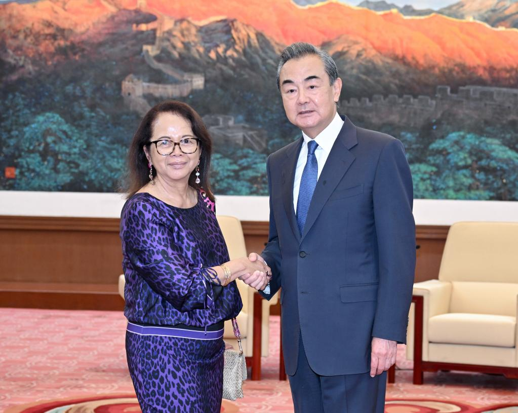 Senior Chinese diplomat meets Madagascan FM-Xinhua