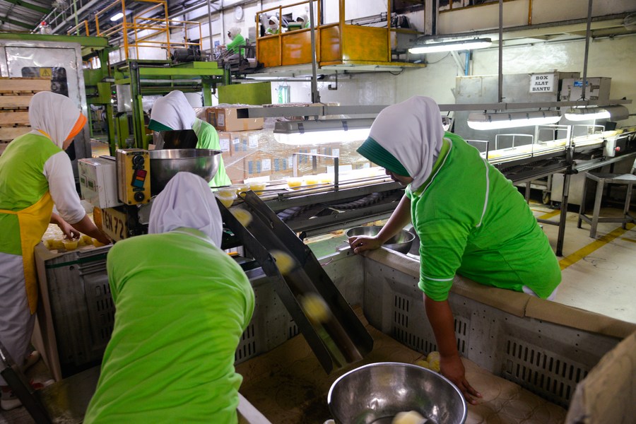 Indonesia giat mempromosikan ekspor nanas ke China-Xinhua
