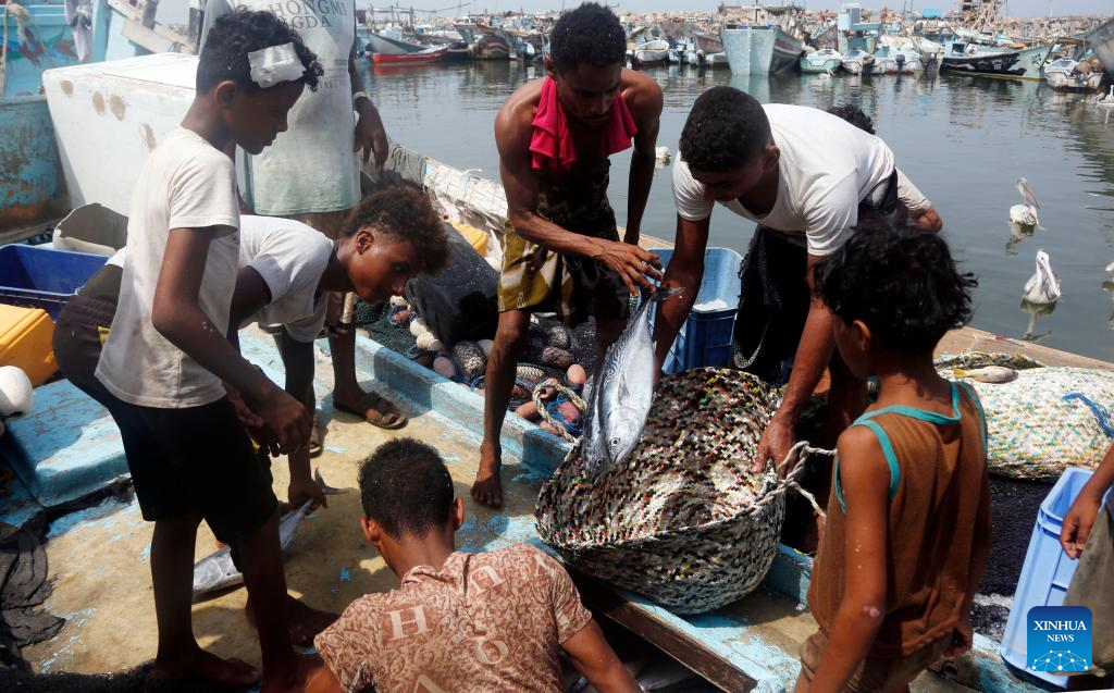 Feature: Yemeni fishermen struggle amid conflicts, economic