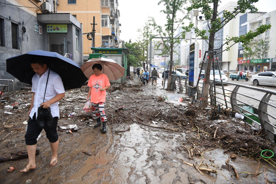 Forbidden City remains free of flooding thanks to sound drainage  system-Xinhua