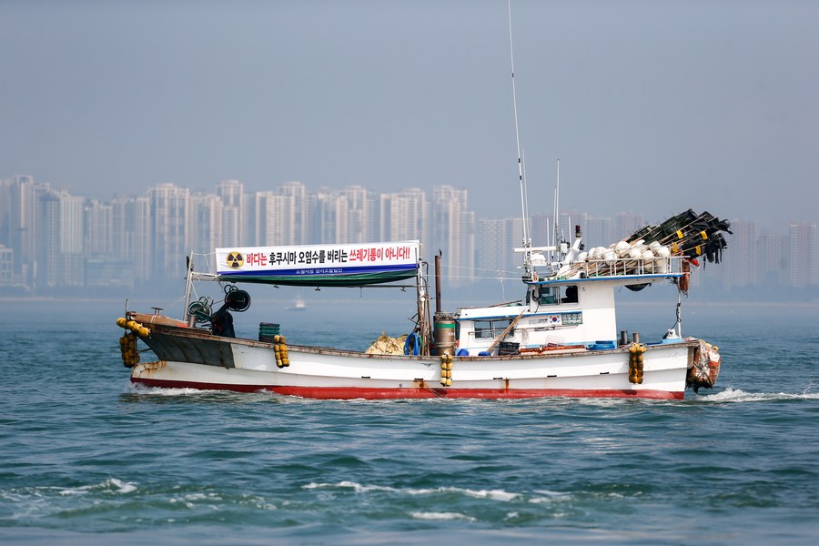 Japanese boats losing squid fishing grounds to N. Korean ships: industry  sources - The Mainichi