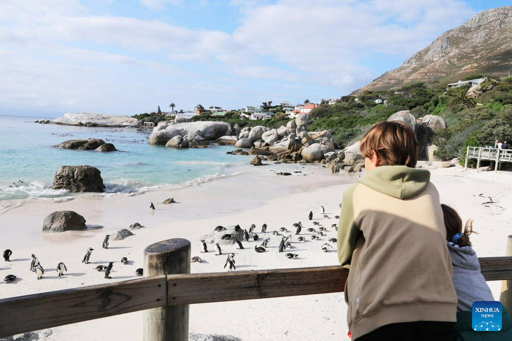 Sudáfrica ve un aumento en el número de turistas entre enero y junio y Xinhua