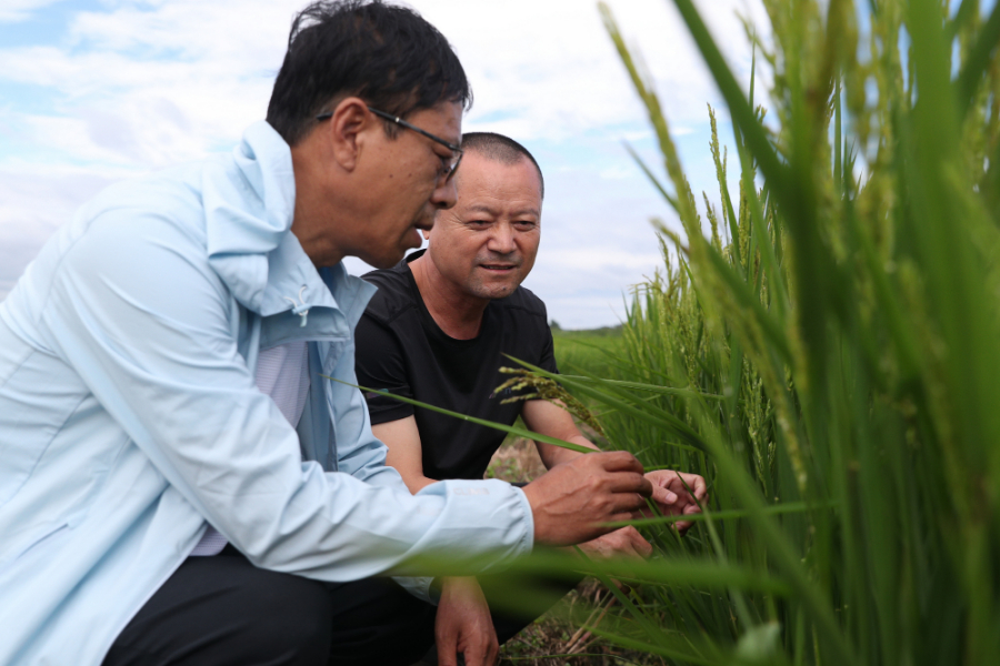 China Focus: China steps up flood relief efforts, minimizing impact on ...