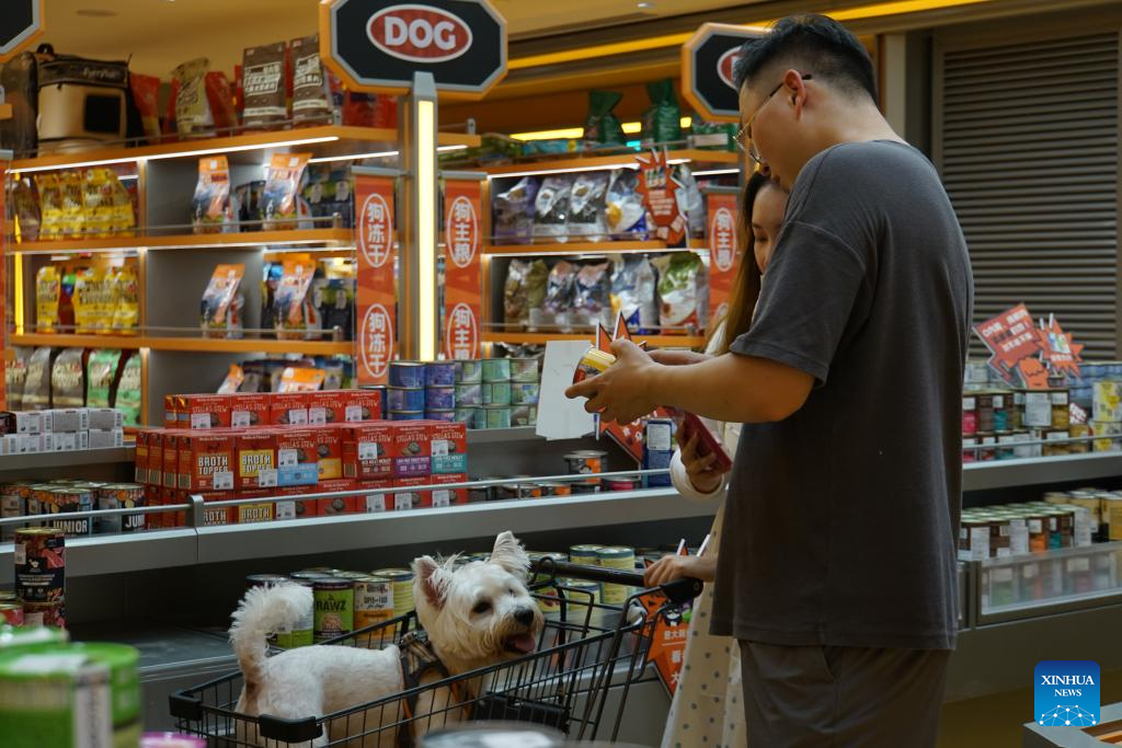 Pet Store Bemidji MN