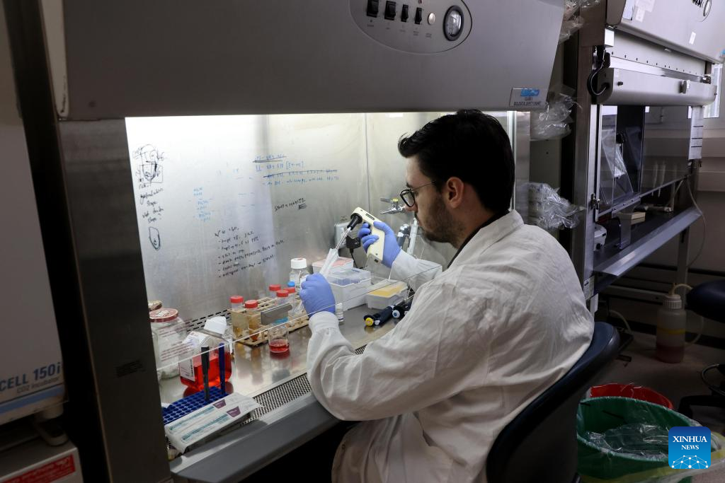 Israeli Researchers Grow Human Embryo Models From Stem Cells To Study ...