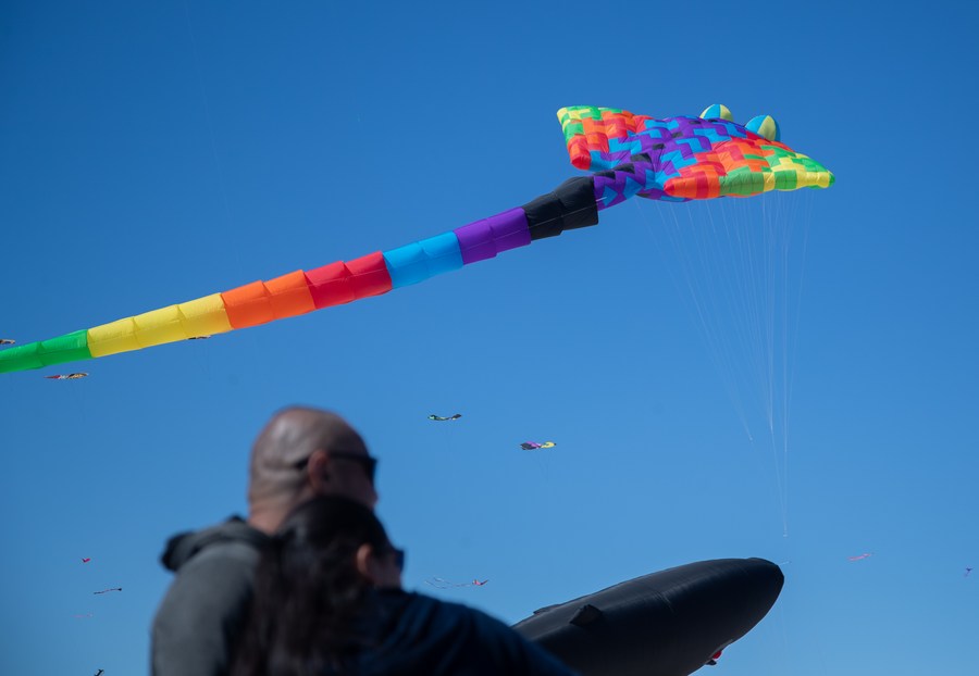 kite] in Sydney Region, NSW, Baby & Children