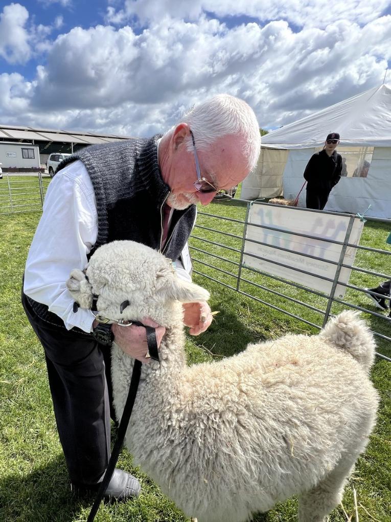 Asia Album National alpaca show in New ZealandXinhua