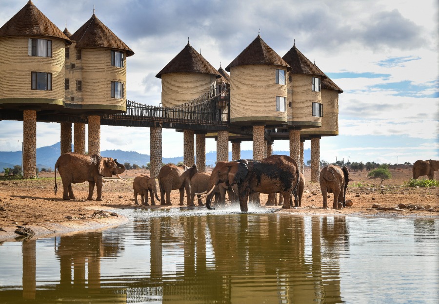 Exploring Taita Hills Wildlife Sanctuary through the lens-Xinhua