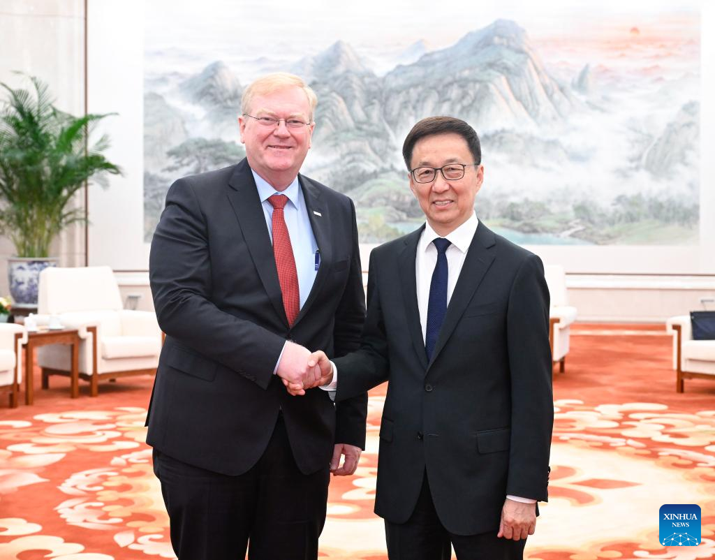 Chinese VP meets Bosch chairman Xinhua