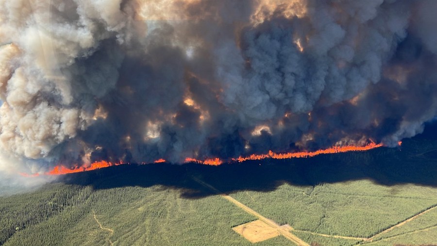 Los científicos instan a tomar medidas para reducir las emisiones de carbono de los incendios forestales globales